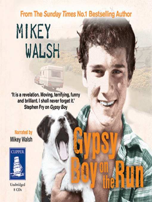 Cover image for Gypsy Boy on the Run
